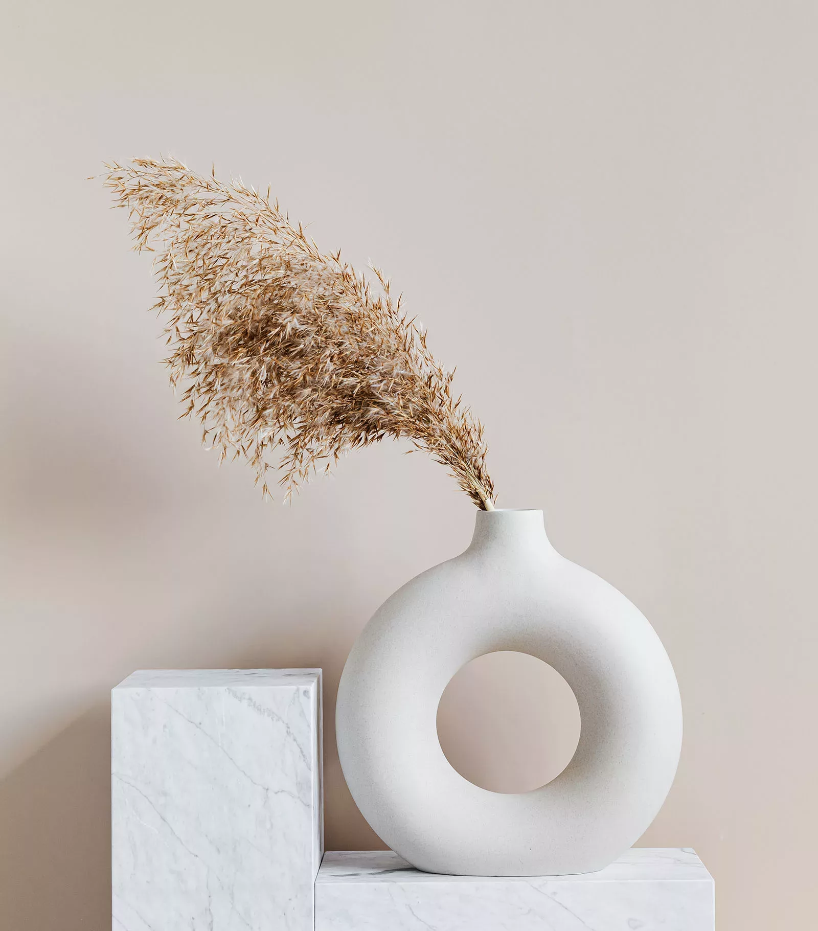 Mag Landing 28 svg+xml;charset=utf