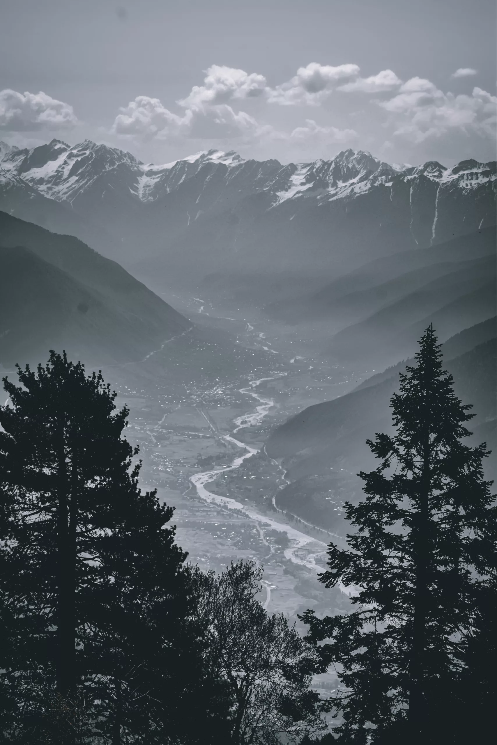 Mag Landing 37 svg+xml;charset=utf